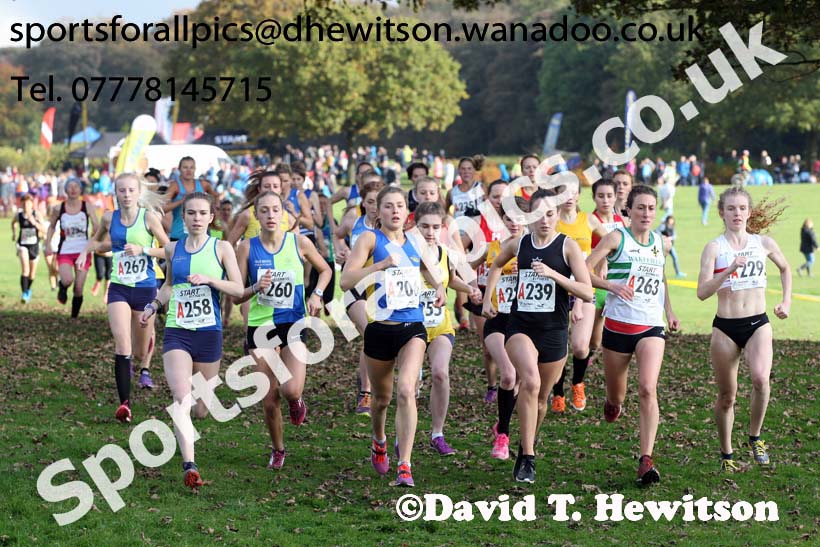 Senior womens Northern Cross Country Relays. Photo: David T. Hewitson/Sports for All Pics